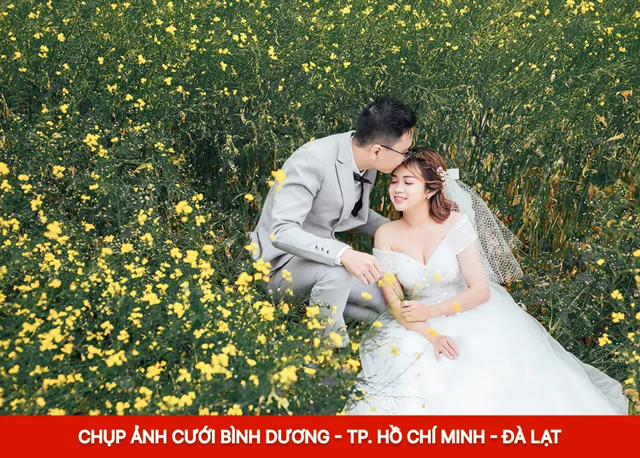 Chụp Ảnh Cưới Bình Dương, TP Hồ Chí Minh, Đà Lạt