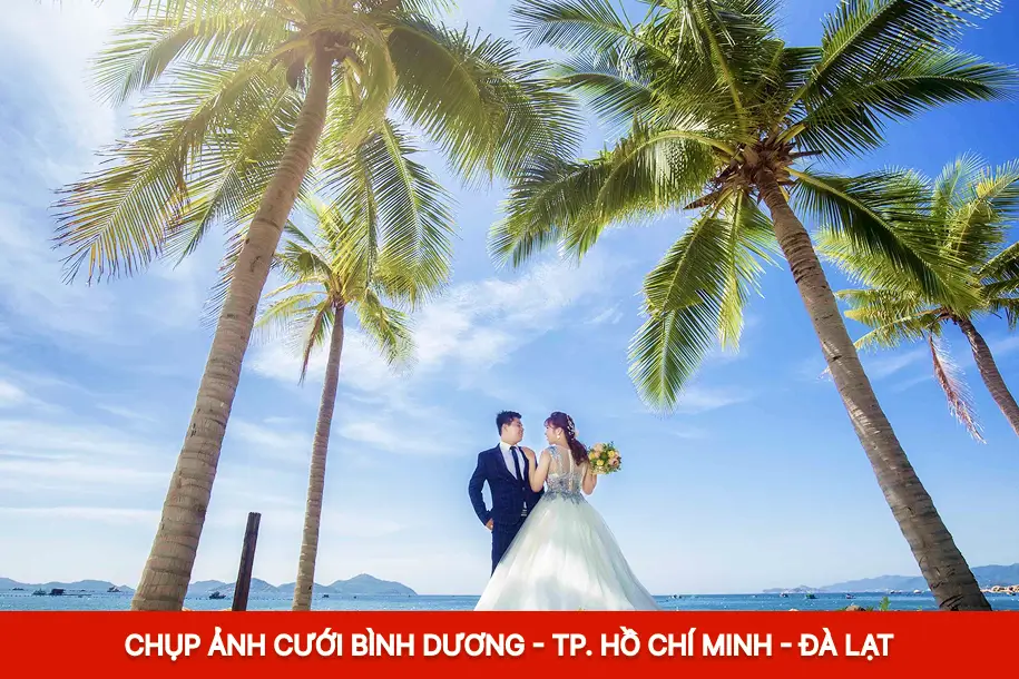 Chụp ảnh cưới tại Bình Dương , tp Hồ Chí Minh, Đà Lạt tại Pola Wedding