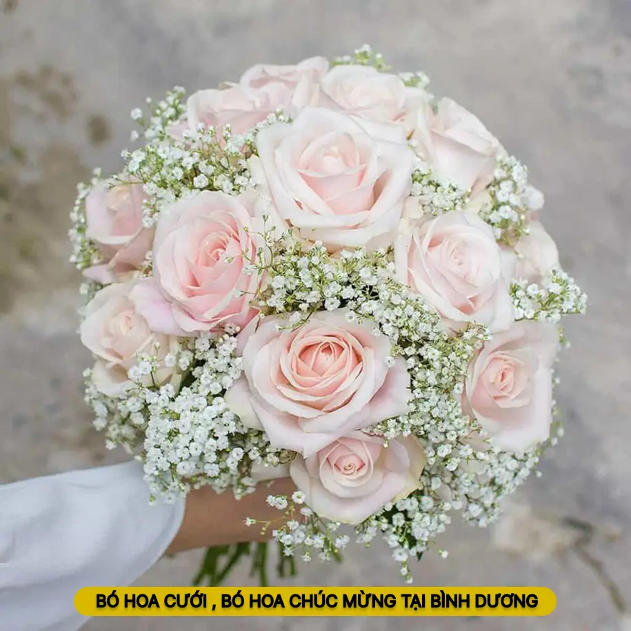 Mẫu bó hoa cưới hỏi, bó hoa chúc mừng tại Bình Dương hồng phất đẹp.